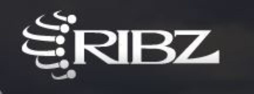 Ribz Bel Çantası