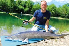 Lineaeffe Ultracast Extra Power WWG Sturgeon 4,20 mt 500 gr Surf Kamışı
