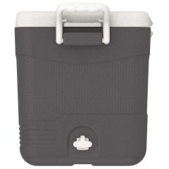 IcePeak CoolCraft 46 Taşınabilir Kamp Buzluğu ve Soğutucu 41.6L Füme