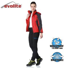 Evolite Diva 3in1 Bayan Mont