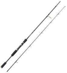 Okuma Salına 10' 0 300 cm 20-60 gr 2 Parça Spin Kamış
