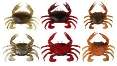 Savage gear LB 3D Manic Crab 7.5 cm 3 Adet Suni Yem