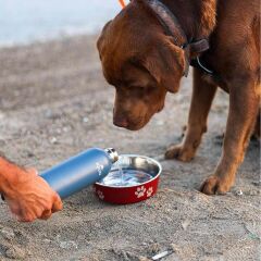 IGLOO Hydrate Pro Bambu Tabanlı Çelik Termos 500ml - Mavi