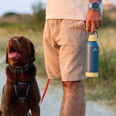 IGLOO Hydrate Pro Bambu Tabanlı Çelik Termos 500ml - Mavi